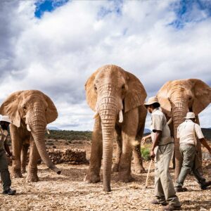 2 Days Garden Route from Cape Town to Oudtshoorn