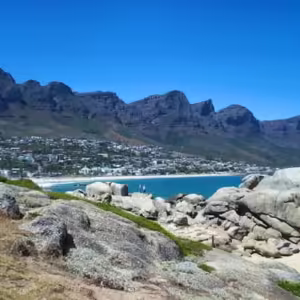 Half-Day Boulders Beach Penguins Tour from Cape Town