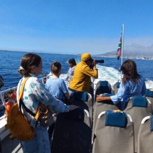 Full-Day Private Tour: Robben Island, Table Mountain & City Tour