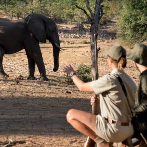 10 Days Luxury Honeymoon Safari Tour Across South Africa