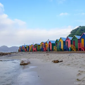 Full-Day Private Tour: Cape of Good Hope and Penguin Boulders Beach